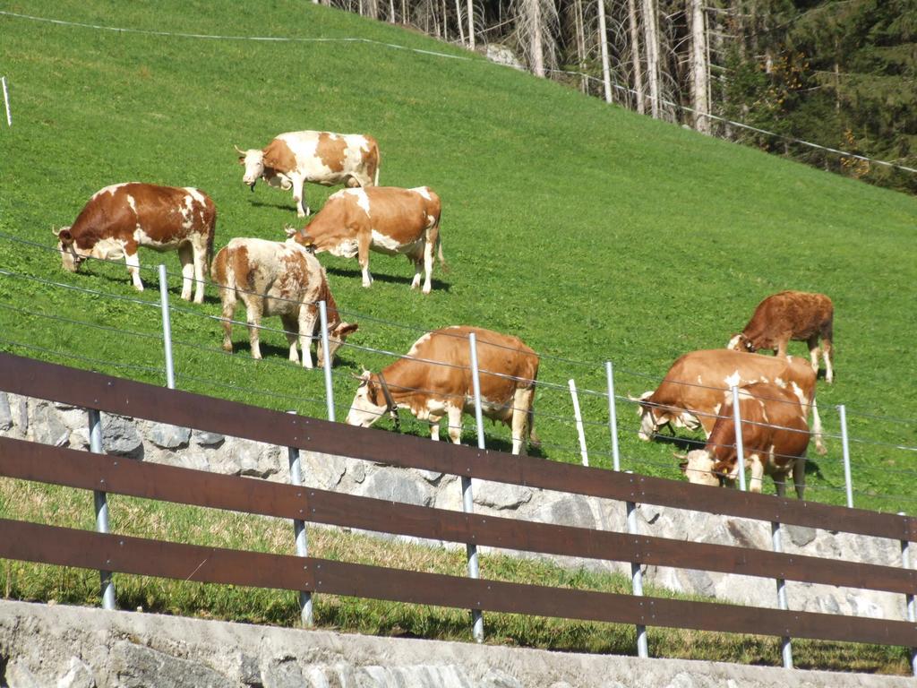 Ferienwohnung Lehenhof Ried im Zillertal Pokój zdjęcie